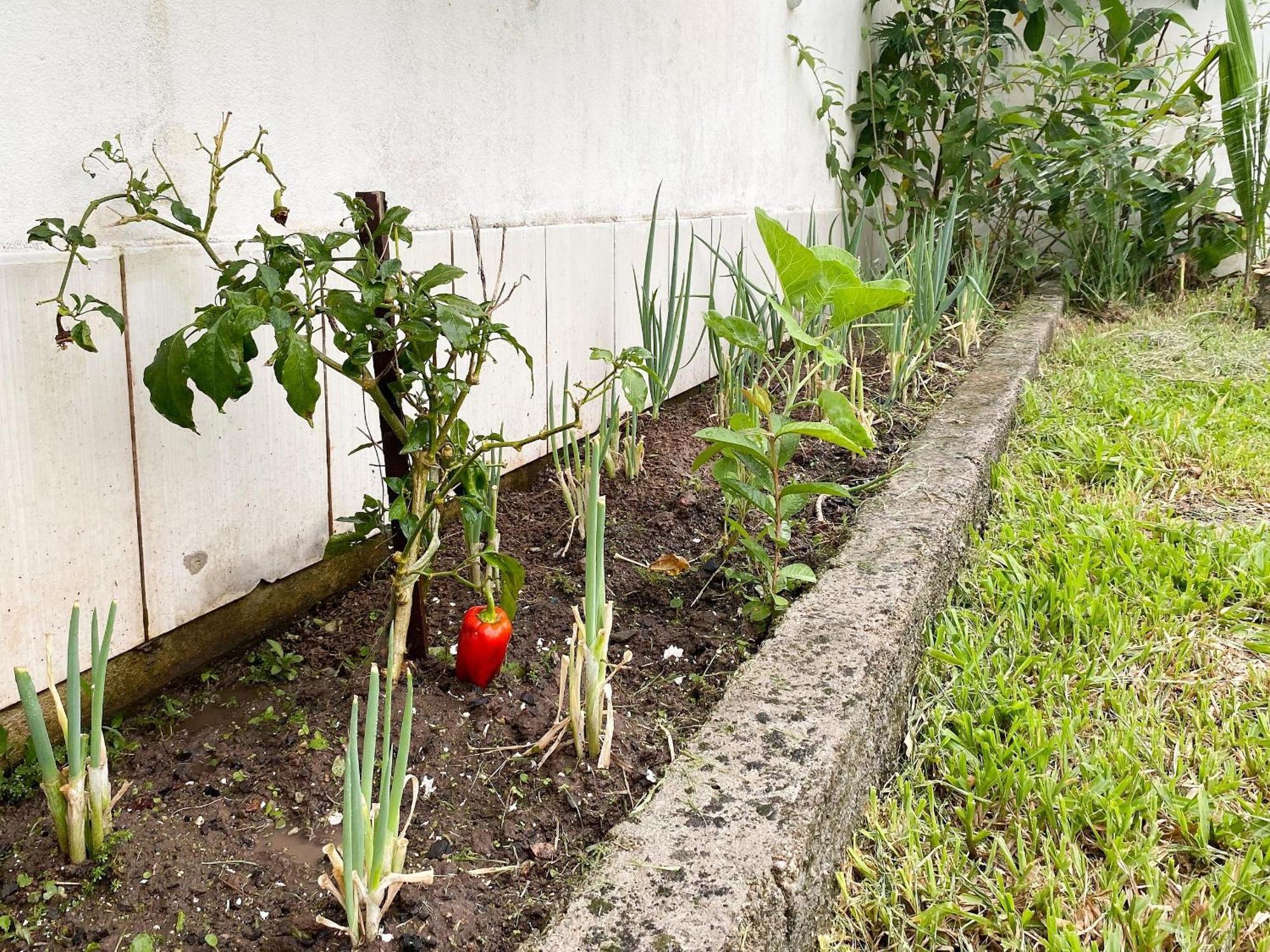 Residencial Verdes Mares Bombinhas Eksteriør bilde
